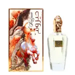 My Perfumes Haizum  EDP 100 мл. - Унисекс